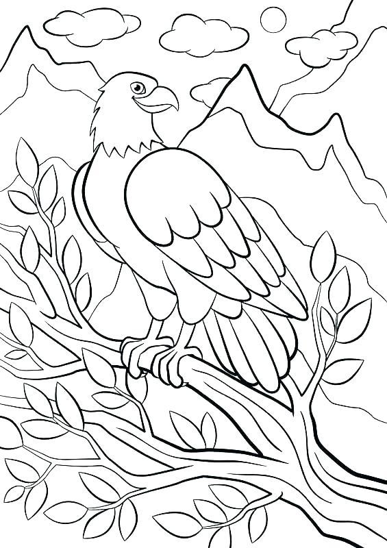 565x800 Mountain Coloring Pages Mountain Lion Coloring Page Mountain