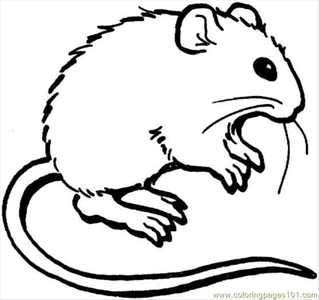 650x612 Mouse 3 Coloring Page Coloring Page