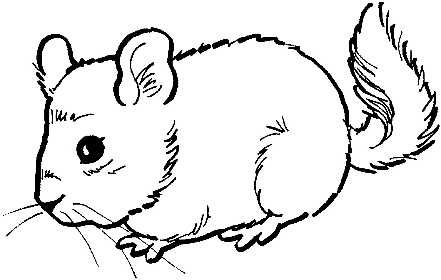 1500x954 Free Printable Mouse Coloring Pages For Kids Coloring Page Mouse