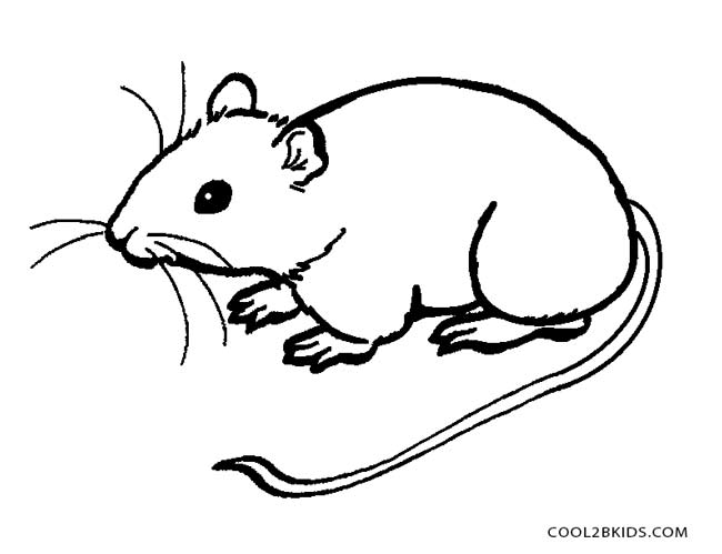 650x499 Mouse Coloring Pages Perfect Mouse Coloring Pages 93