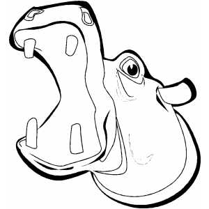 300x300 Hippo Head With Open Mouth Coloring Sheet