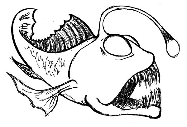 600x407 Angler Fish Coloring Pages 38 Angler Fish Coloring Pages Angler