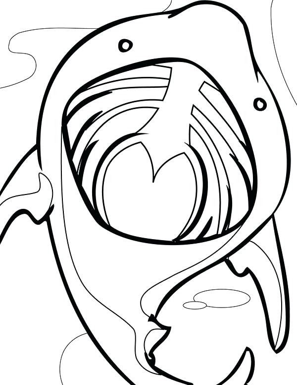 600x776 Sand Shark Pictures Color Open Mouth Coloring Pages Crocodile