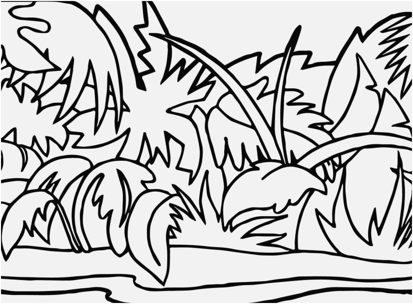 827x609 Coloring Pages Jungle Pic Mowgli And Shere Khan The Jungle Book