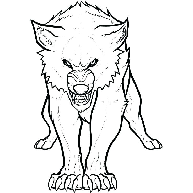 Wolf Coloring Page Coloring Page Free Wolf Coloring Pages Wolf 736x736 Wolf Coloring Page Coloring Page Free Wolf Coloring Pages Wolf