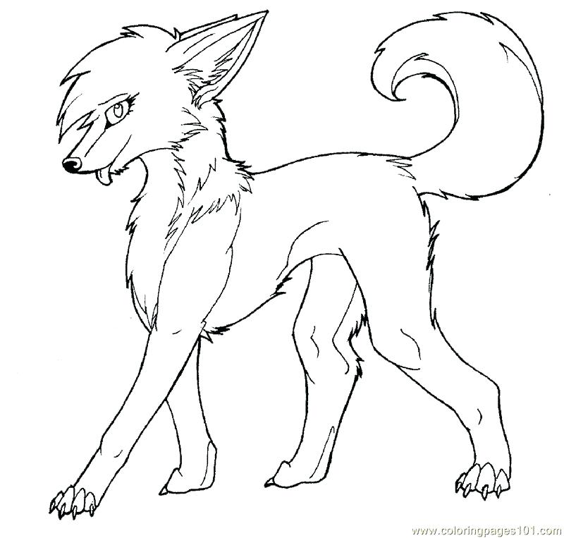 Coloring Page Wolf Anime Wolf Coloring Pages Coloring Page Peter 800x763 Coloring Page Wolf Anime Wolf Coloring Pages Coloring Page Peter
