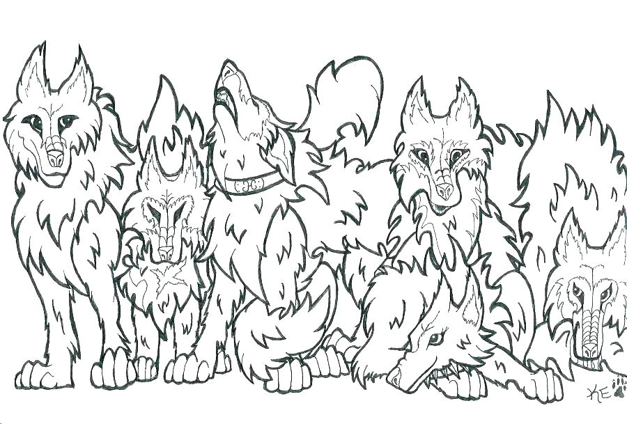 Coloring Page Wolf Wolf Color Page Wolf Coloring Pages Two Wolves 900x609 Coloring Page Wolf Wolf Color Page Wolf Coloring Pages Two Wolves
