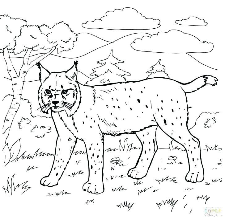 Mt Rushmore Coloring Page