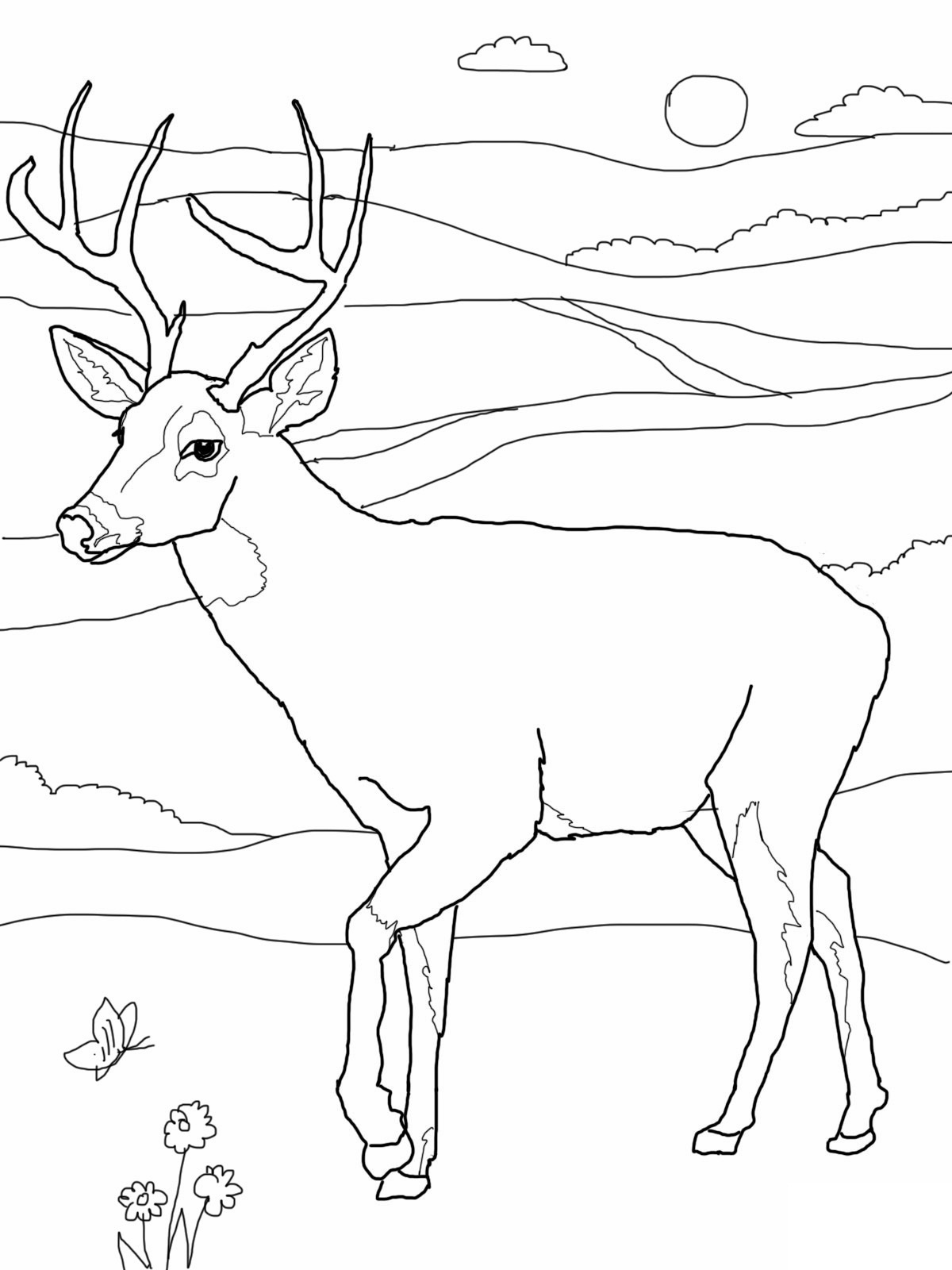 1200x1600 Deer Coloring Pages