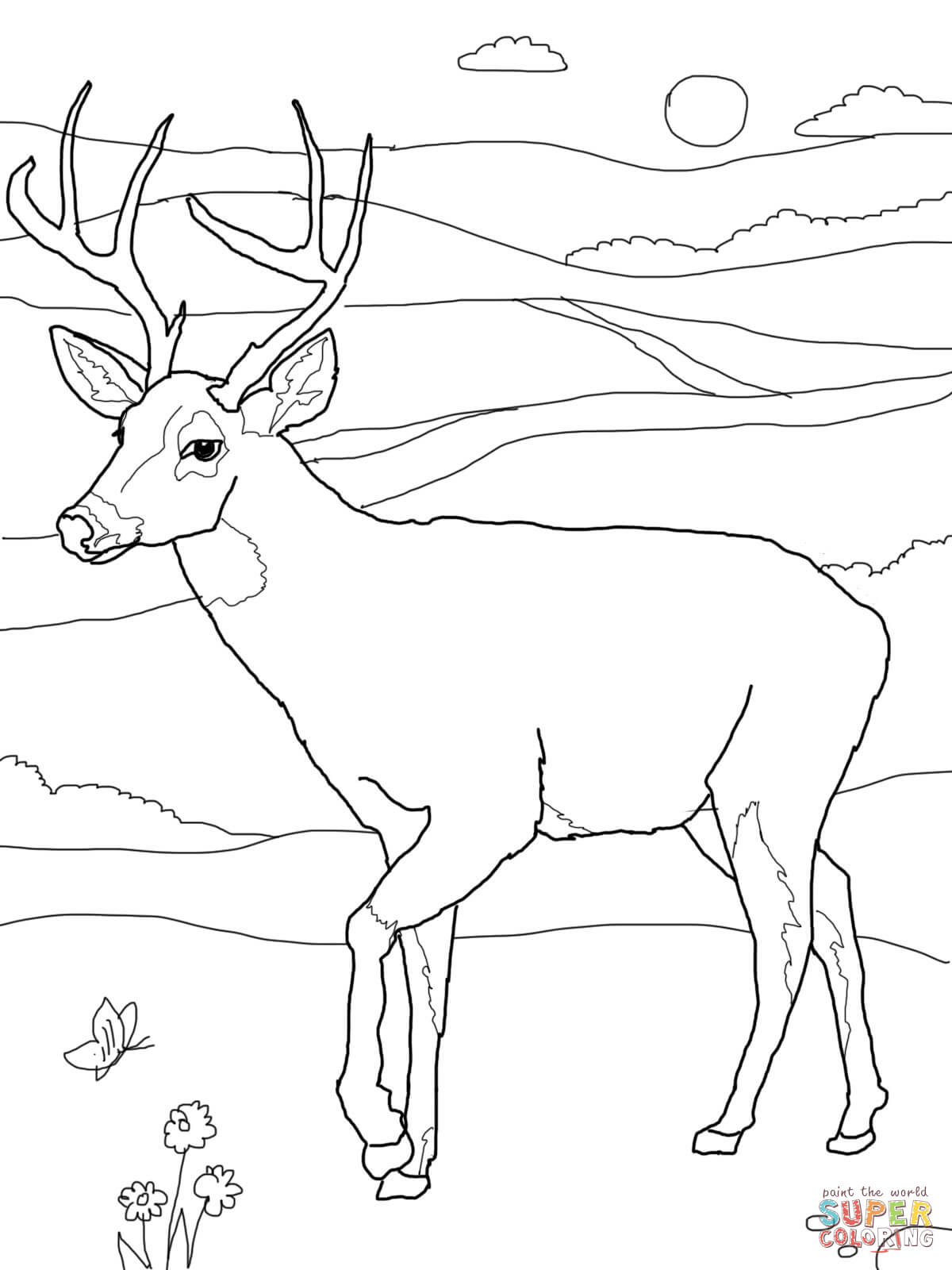 Deer Coloring Pages 1200x1600 Deer Coloring Pages