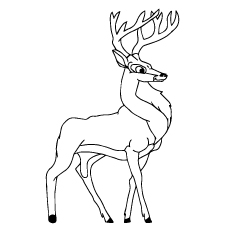 Top 20 Deer Coloring Pages For Your Little Ones 230x230 Top 20 Deer Coloring Pages For Your Little Ones