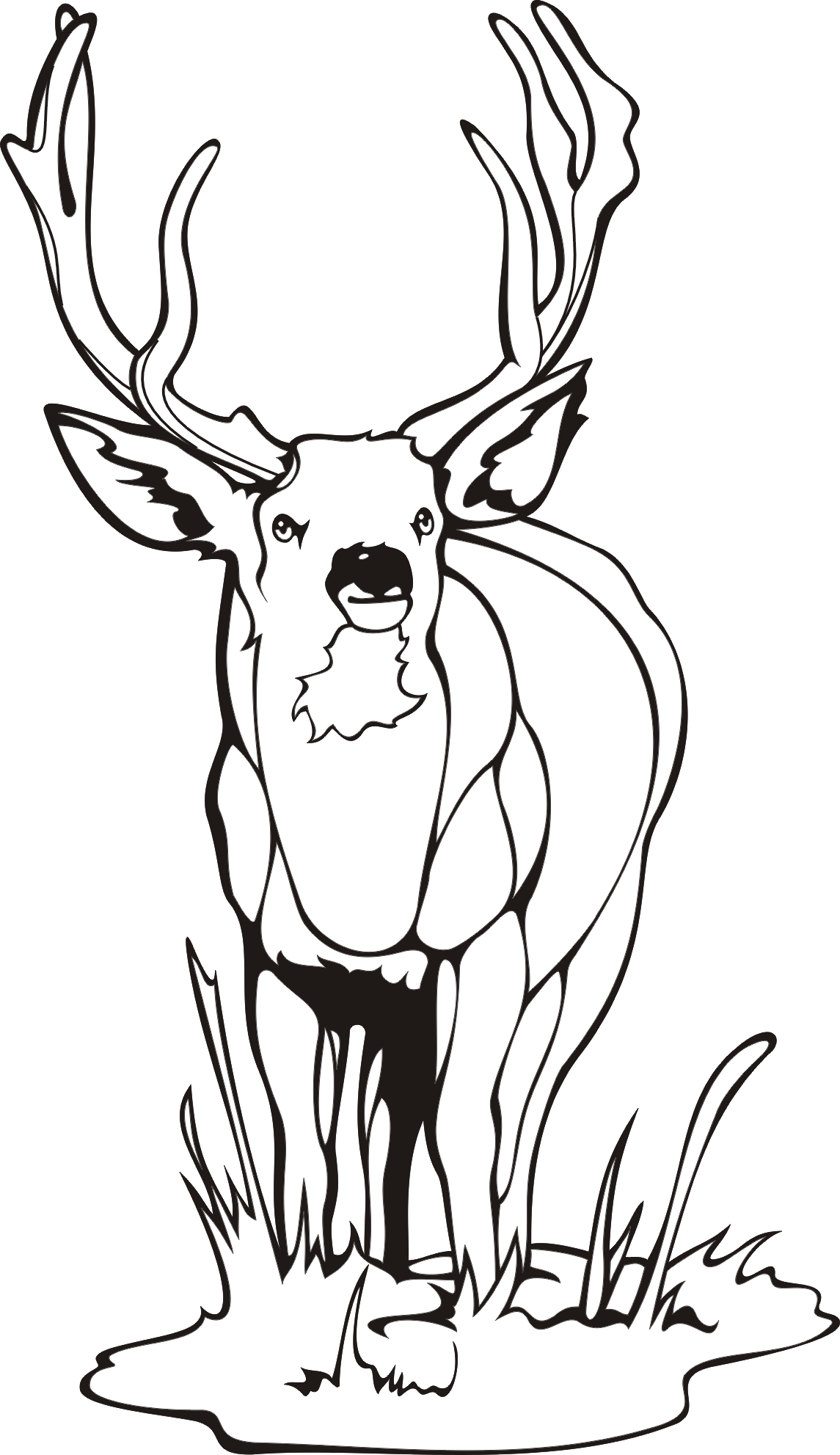 Top 91 Deer Coloring Pages 1145x1983 Top 91 Deer Coloring Pages