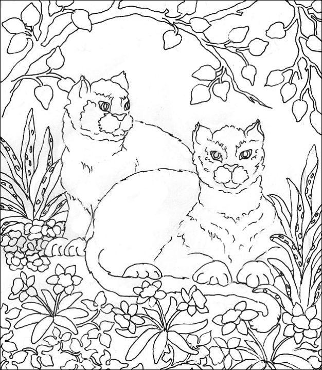 626x720 Free Coloring Pages
