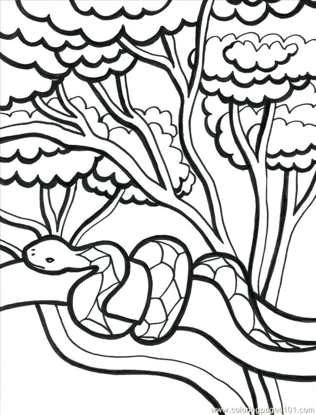 650x852 Coloring Page Coloring Book Tropical Coloring Page Pages On
