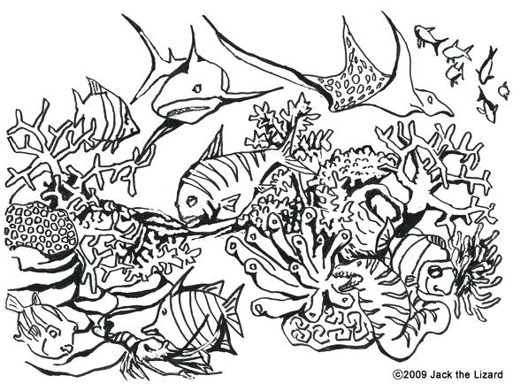 580x442 Coloring Pages Christmas Free Best Mural Images On Books Never