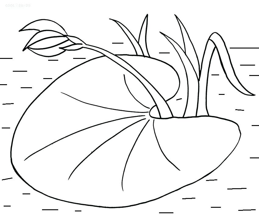 850x708 Coloring Pages Online Flowers Printable Lily Pad For Kids Mural