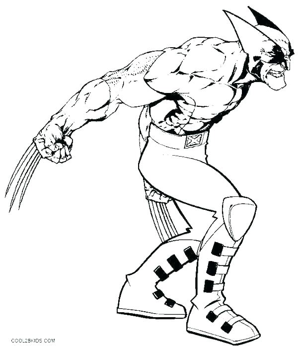 Wolverine Printable Colouring Pages Muscle Coloring Pages Muscle 600x702 Wolverine Printable Colouring Pages Muscle Coloring Pages Muscle
