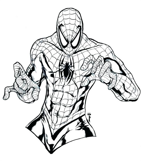 Spiderman Coloring Pages 585x670 Spiderman Coloring Pages