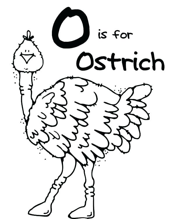 Ox Coloring Page S Fr Clr Musk Ox Coloring Page 600x750 Ox Coloring Page S Fr Clr Musk Ox Coloring Page