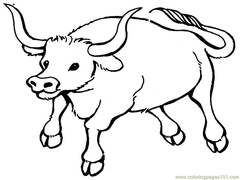 Musk Ox Coloring Page Free Printable Coloring Pages Ox Coloring 800x600 Musk Ox Coloring Page Free Printable Coloring Pages Ox Coloring