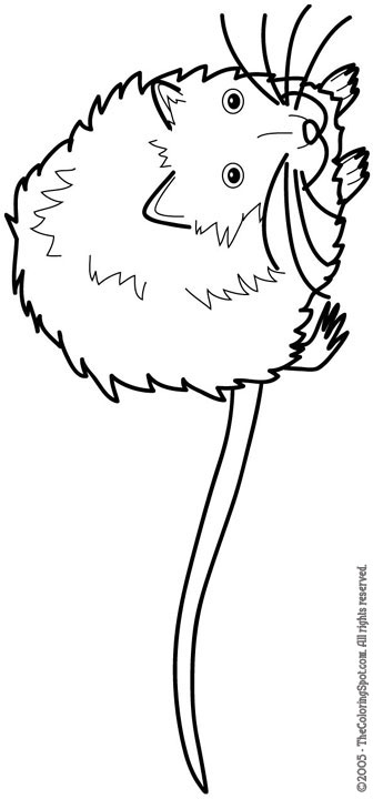 336x720 Muskrat Audio Stories For Kids Amp Free Coloring Pages From Light
