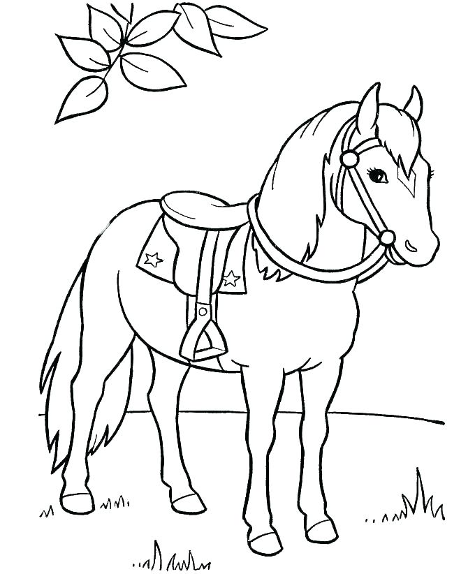 Mustang Horse Coloring Pages Mustang Horse Coloring Pages Horse 680x822 Mustang Horse Coloring Pages Mustang Horse Coloring Pages Horse