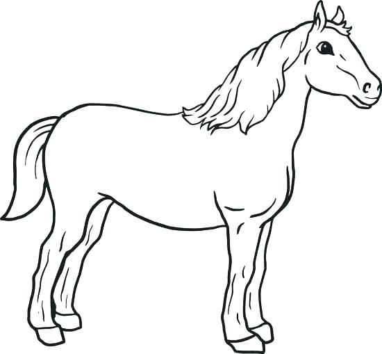 Stallion Coloring Pages Beautiful Mustang Horse Coloring Pages 550x509 Stallion Coloring Pages Beautiful Mustang Horse Coloring Pages