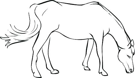 Horse Coloring Page 468x271 Horse Coloring Page