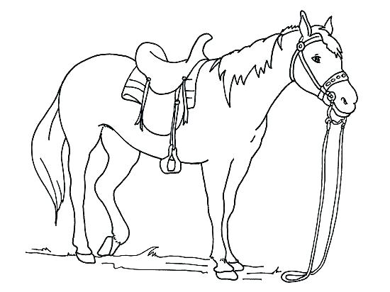 Free Printable Carousel Horse Coloring Pages Mustang Adult Book 550x412 Free Printable Carousel Horse Coloring Pages Mustang Adult Book
