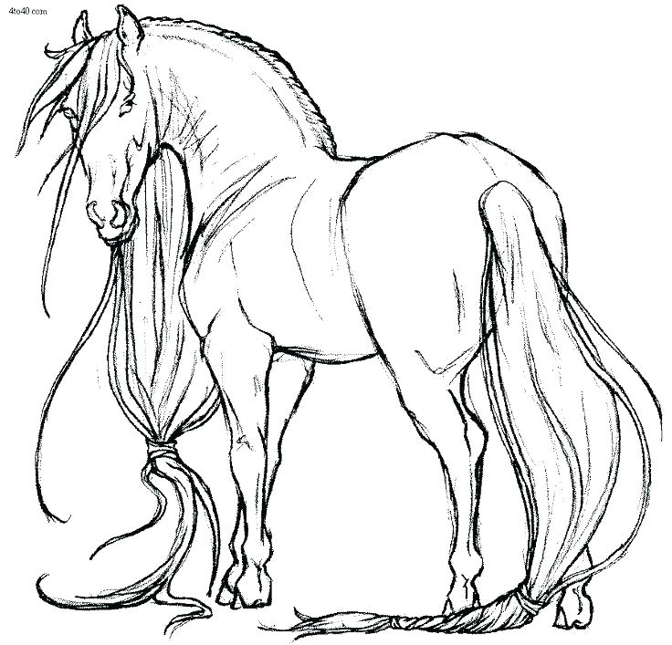 Free Printable Horse Coloring Pages Lovely Horse Coloring Pages 736x707 Free Printable Horse Coloring Pages Lovely Horse Coloring Pages