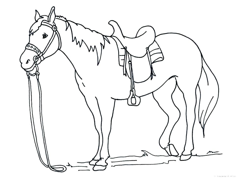 Horse Coloring Pages Printable As Well As Mustang Horse Coloring 971x728 Horse Coloring Pages Printable As Well As Mustang Horse Coloring