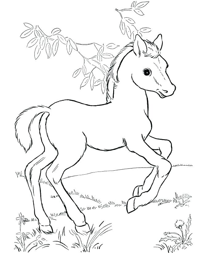 Mustang Horse Coloring Pages Mustang Horse Coloring Pages Best 670x820 Mustang Horse Coloring Pages Mustang Horse Coloring Pages Best