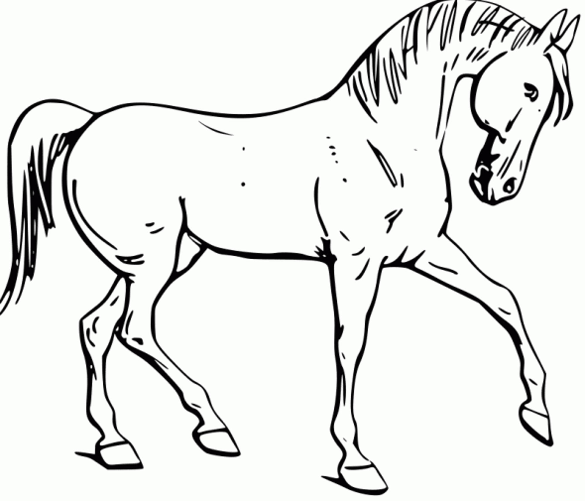 Coloring Mustang Horse Coloring Pages