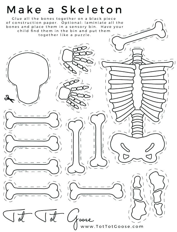 618x811 All About Me Coloring Pages Skeleton Printable All About Me Theme