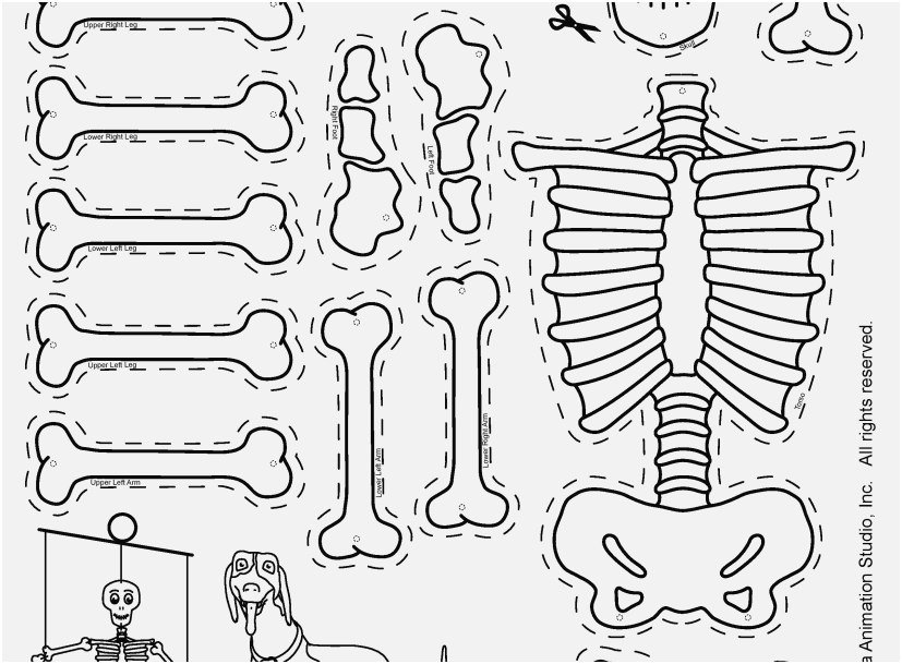 The Right Pictures All About Me Coloring Pages Lovely 827x609 The Right Pictures All About Me Coloring Pages Lovely