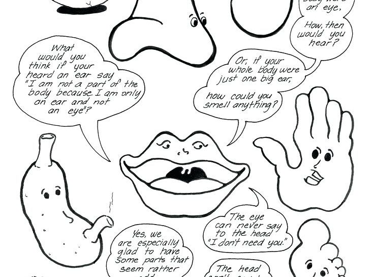 Top Froggy Goes To School Coloring Pages Page For Kids Sporturka 736x544 Top Froggy Goes To School Coloring Pages Page For Kids Sporturka