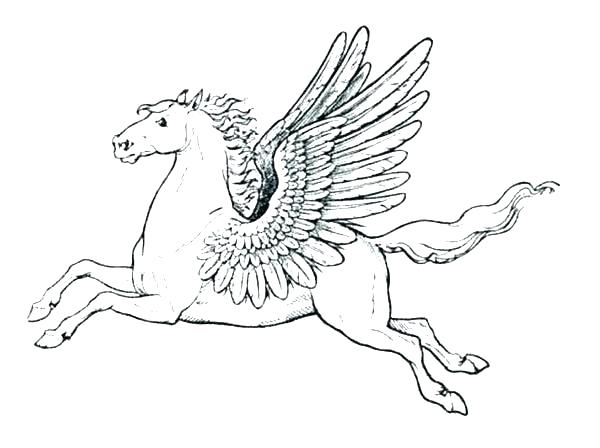 Pegasus Coloring Pages Coloring Page Minimalist Coloring Page Fee 600x448 Pegasus Coloring Pages Coloring Page Minimalist Coloring Page Fee