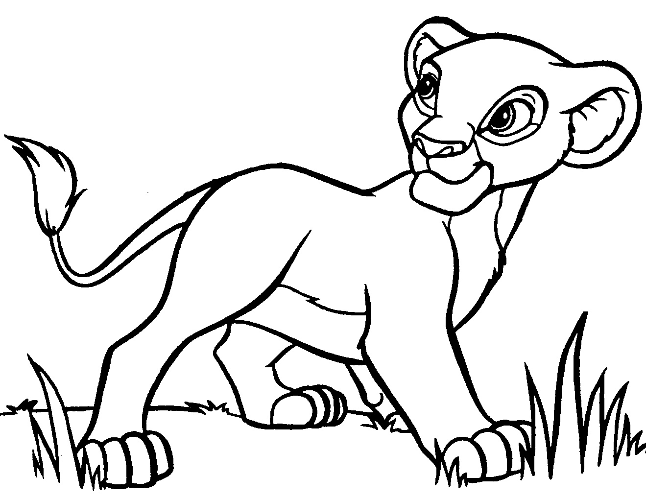 Disney Lion King Coloring Pages 1319x1019 Disney Lion King Coloring Pages