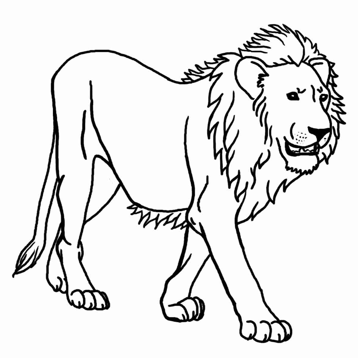 1200x1200 Narnia Coloring Pages Olegratiy