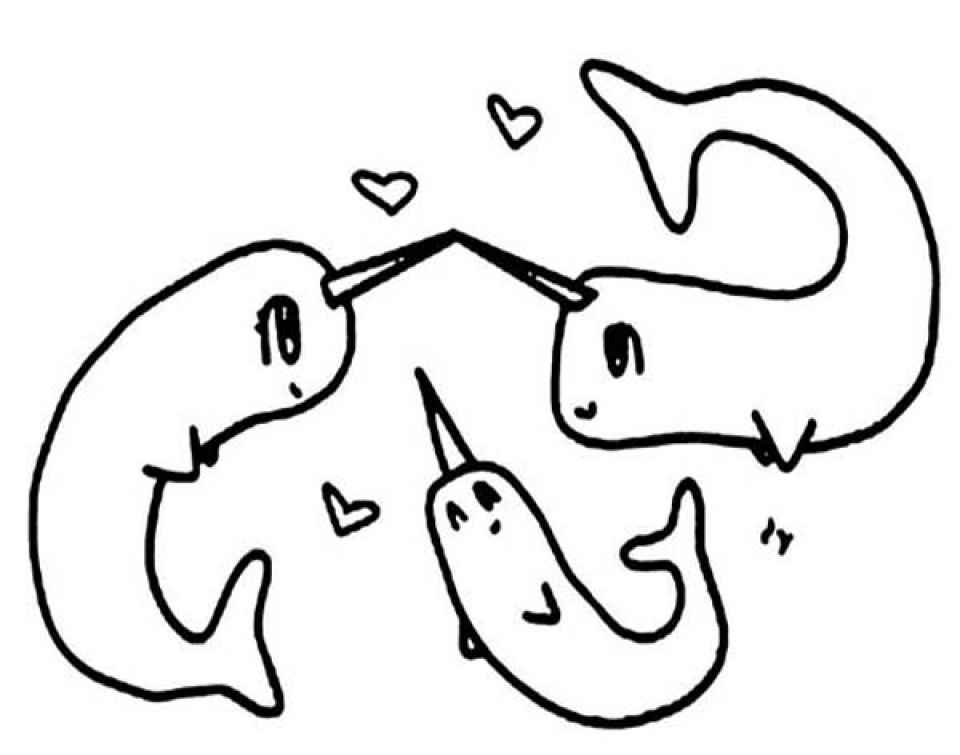 Free Printable Narwhal Coloring Pages 960x755 Free Printable Narwhal Coloring Pages