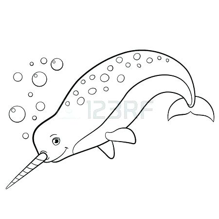 Cute Pictures Coloring Pages Narwhal Coloring Sheets Narwhal Color 450x450 Cute Pictures Coloring Pages Narwhal Coloring Sheets Narwhal Color