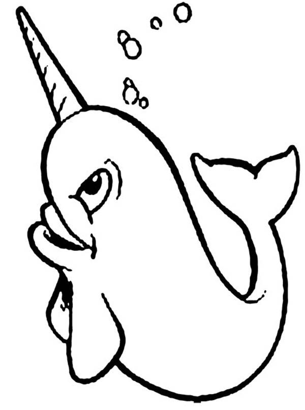 Happy Narwhal Coloring Page 600x807 Happy Narwhal Coloring Page
