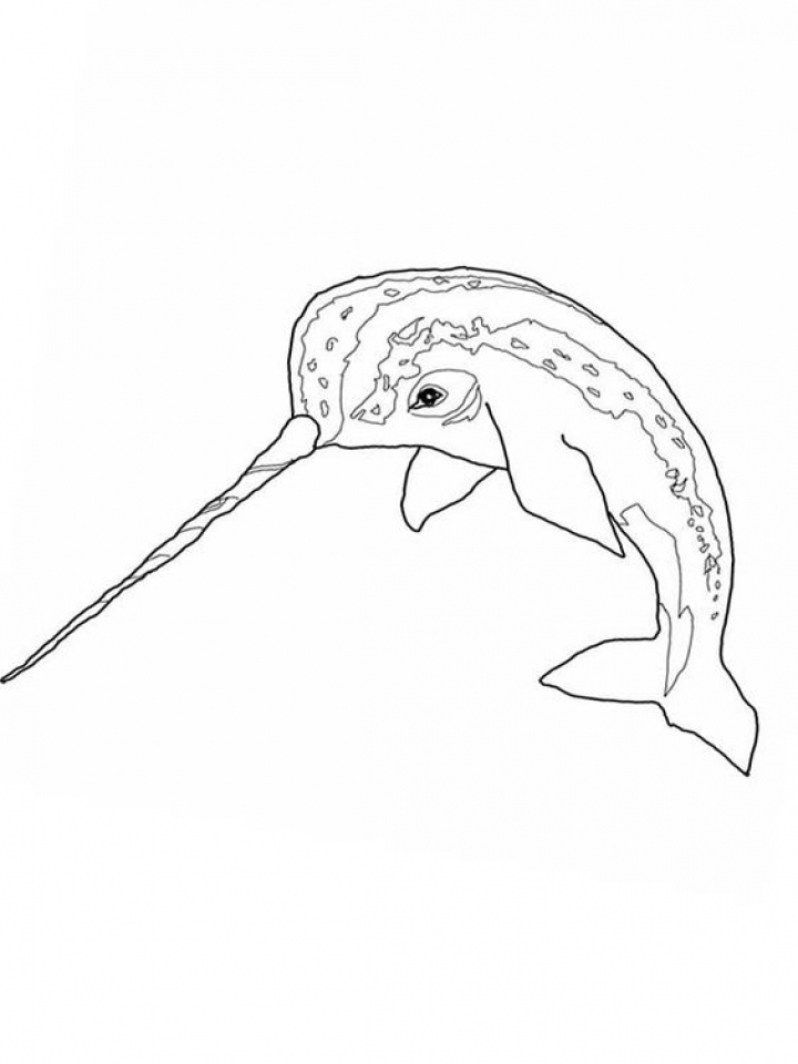 Narwhal Coloring Page Awesome Get This Narwhal Coloring Pages Free 720x960 Narwhal Coloring Page Awesome Get This Narwhal Coloring Pages Free