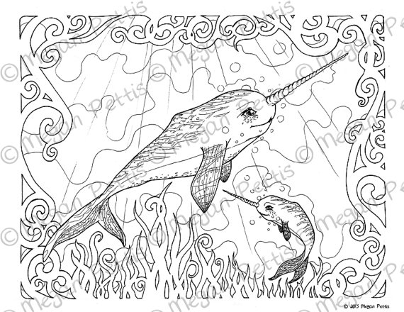 Narwhal Family Adult Coloring Book Page Whale Unicorn 570x440 Narwhal Family Adult Coloring Book Page Whale Unicorn