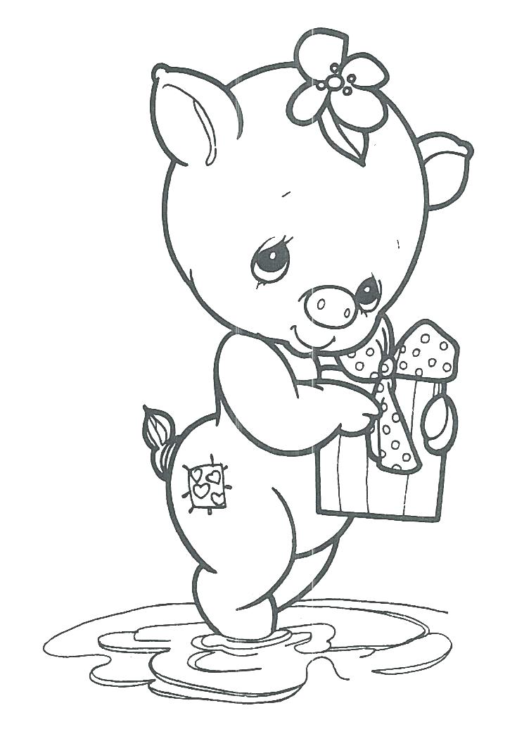 Narwhal Coloring Page Impair.co 735x1043 Narwhal Coloring Page Impair.co