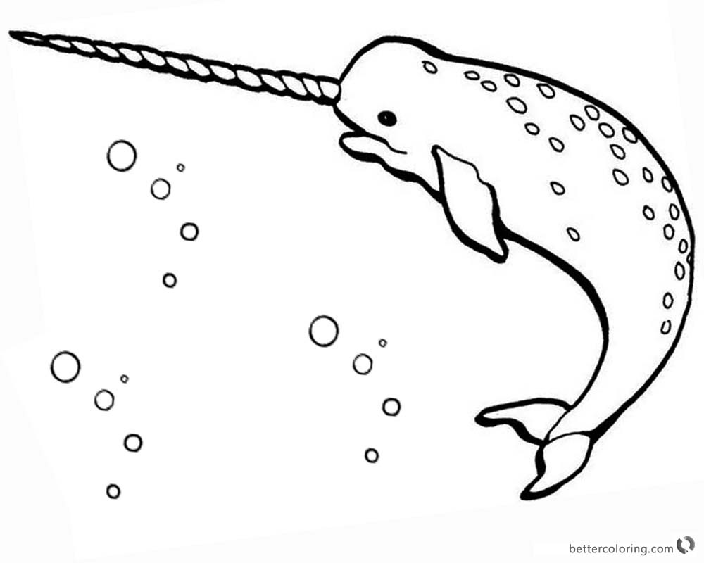 34 Unexpected Ways Narwhal Coloring Page Can Make Your Life Better 1000x800 34 Unexpected Ways Narwhal Coloring Page Can Make Your Life Better