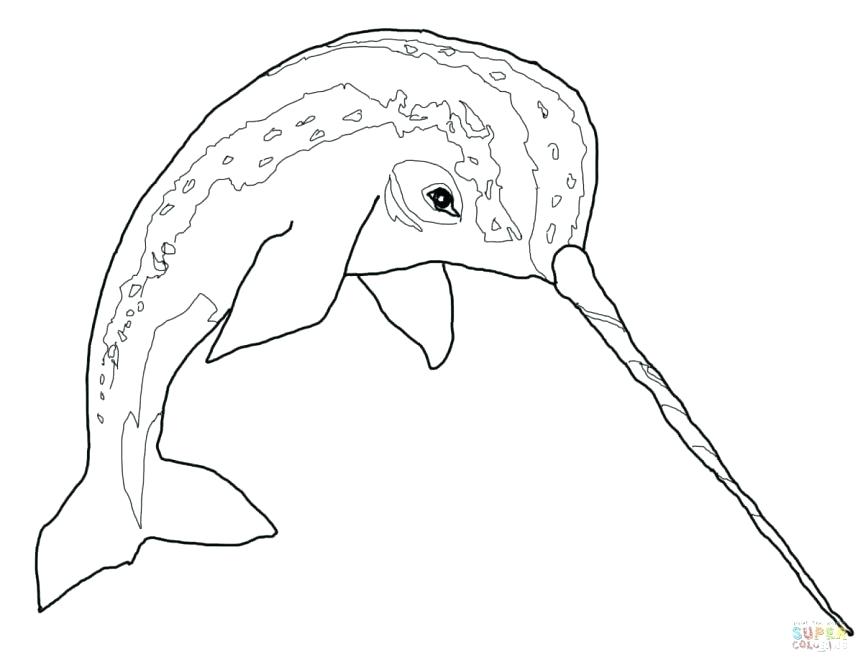 Click The Narwhal Coloring Pages Free Printable Click The Narwhal 863x667 Click The Narwhal Coloring Pages Free Printable Click The Narwhal