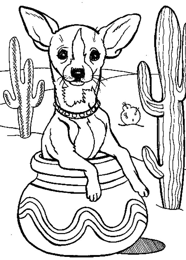 600x837 Cactus Tree And Chihuahua Dog Inside Pottery Coloring Pages