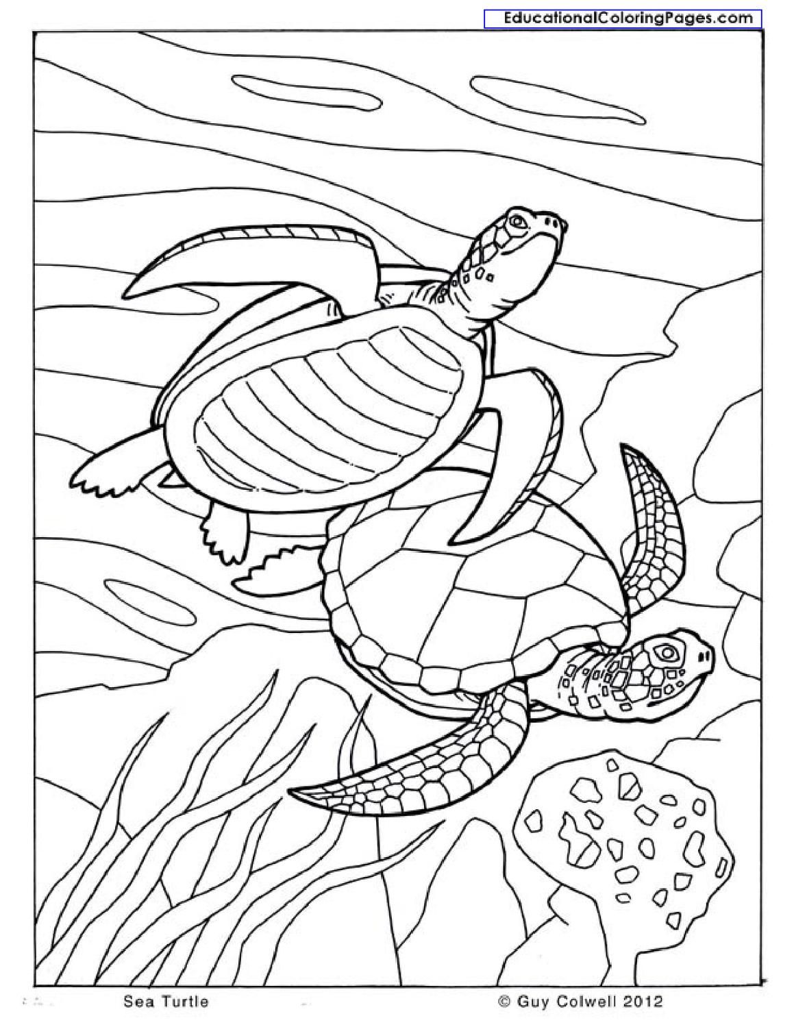 Natural Coloring Books Coloring Books, Natural And Books 1159x1499 Natural Coloring Books Coloring Books, Natural And Books