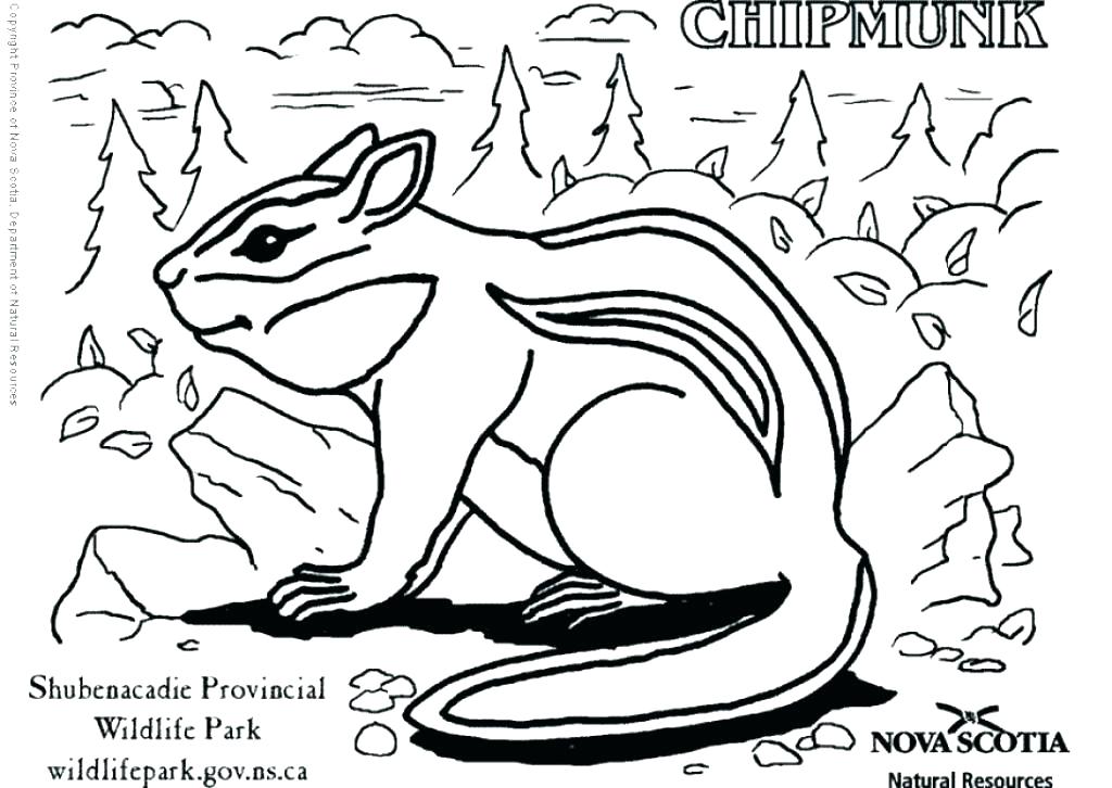 Alvin And The Chipmunks Coloring Pages Also And The Chipmunks 1024x726 Alvin And The Chipmunks Coloring Pages Also And The Chipmunks